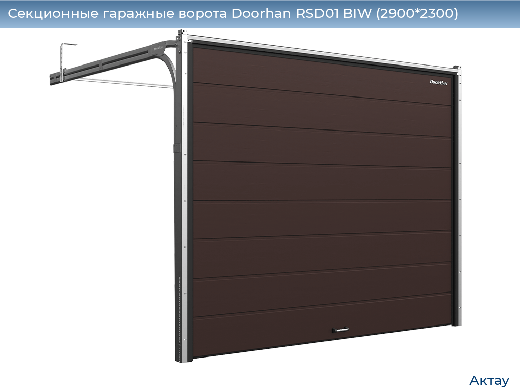 Секционные гаражные ворота Doorhan RSD01 BIW (2900*2300), aktau.doorhan.ru