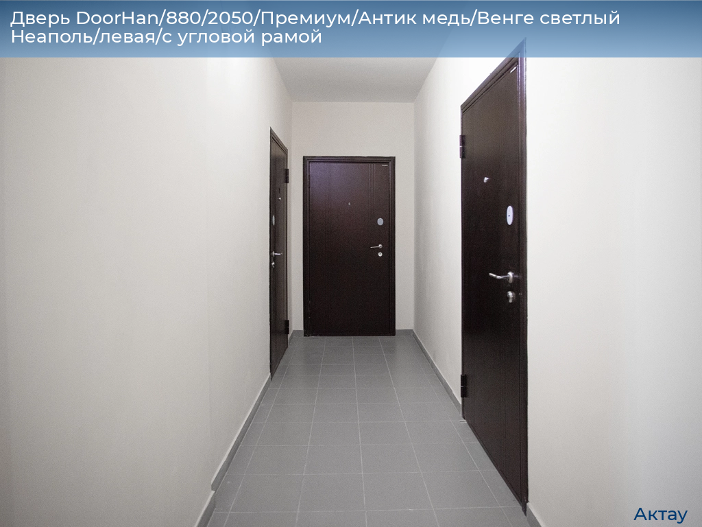 Дверь DoorHan/880/2050/Премиум/Антик медь/Венге светлый Неаполь/левая/с угловой рамой, aktau.doorhan.ru
