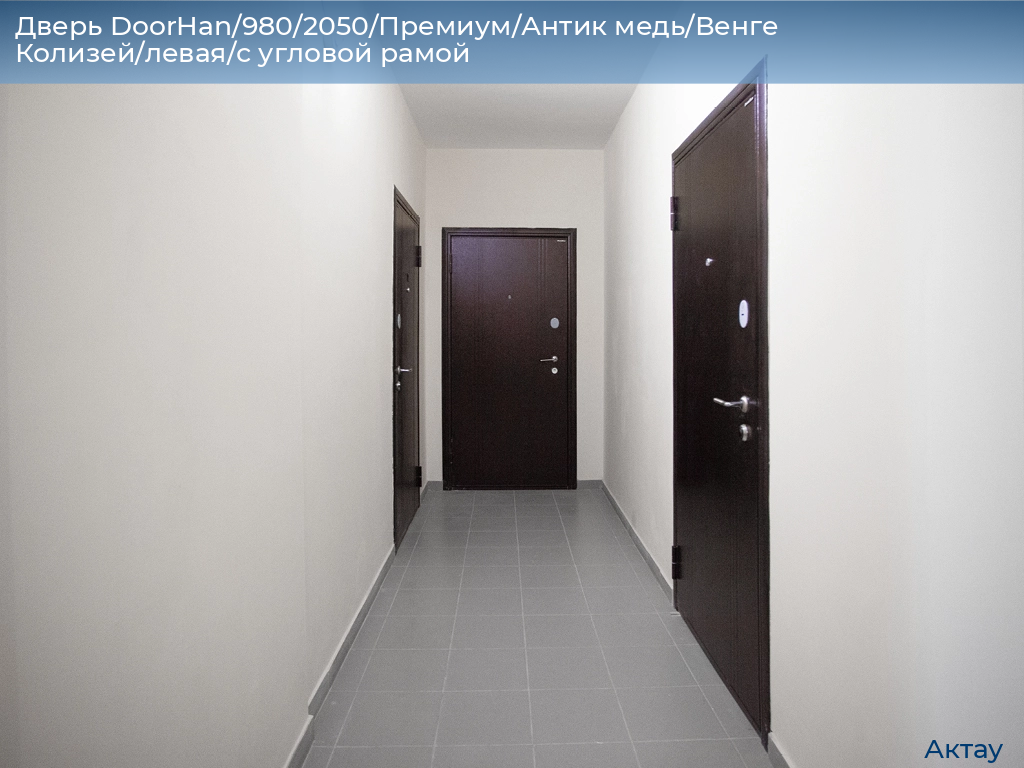 Дверь DoorHan/980/2050/Премиум/Антик медь/Венге Колизей/левая/с угловой рамой, aktau.doorhan.ru